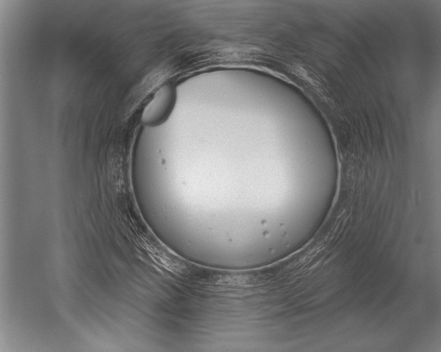 X0000053001211200507221238