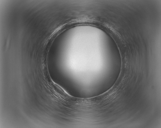 X0000053001213200507221238