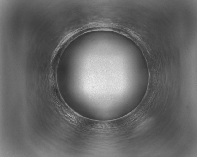 X0000053001215200507221238