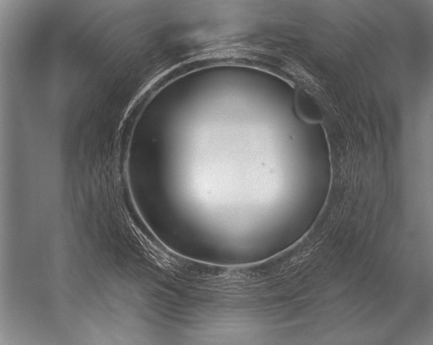 X0000053001216200507221238