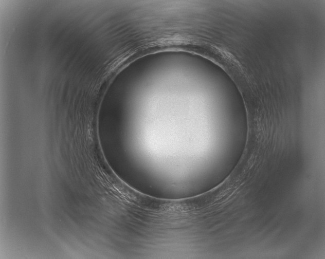 X0000053001217200507221238