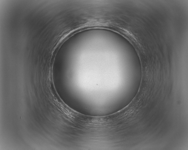 X0000053001220200507221238