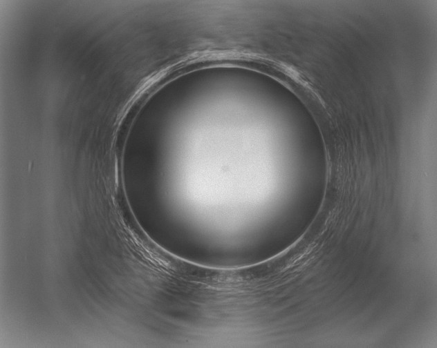 X0000053001221200507221238