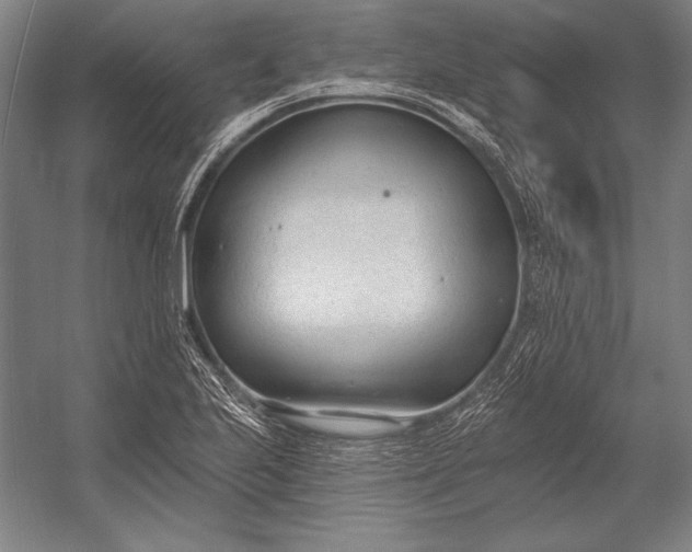 X0000053001223200507221238