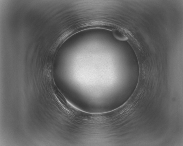 X0000053001225200507221238