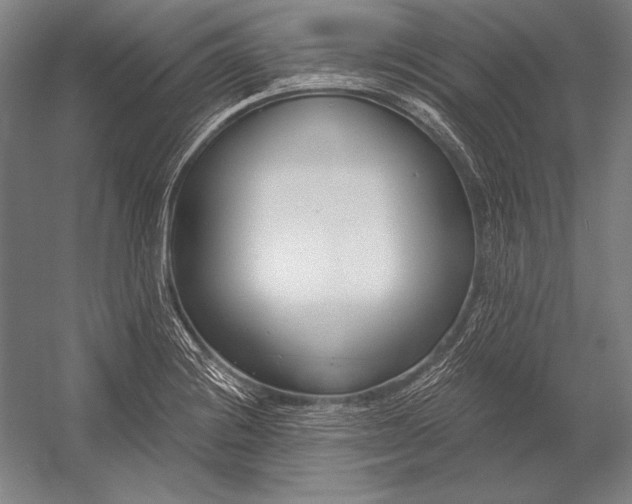 X0000053001228200507221238