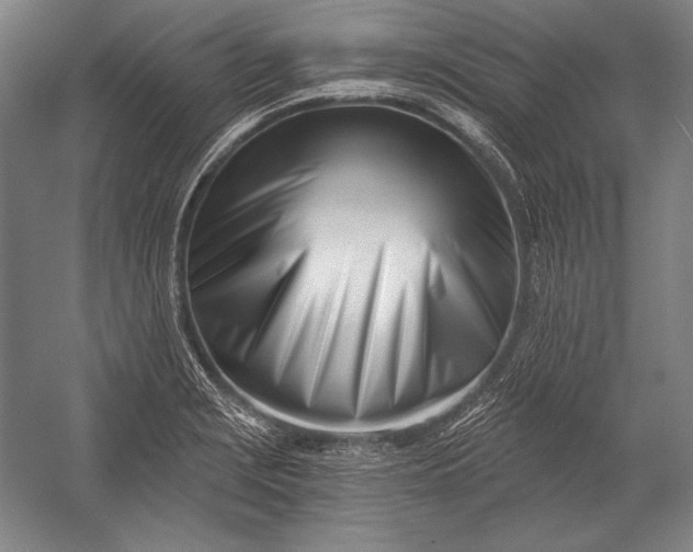 X0000053001229200507221238