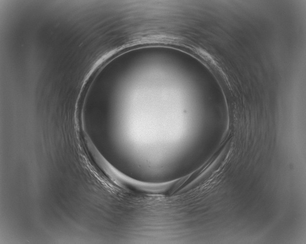 X0000053001230200507221238