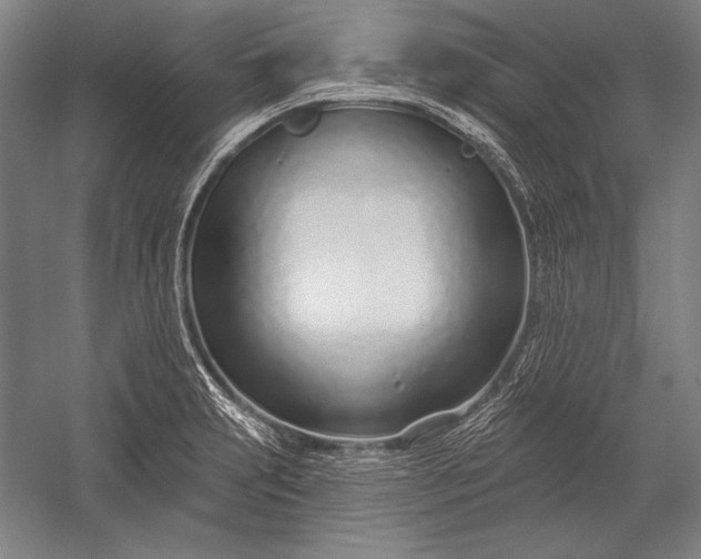 X0000053001231200507221238