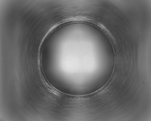 X0000053001232200507221238