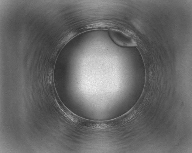 X0000053001233200507221238