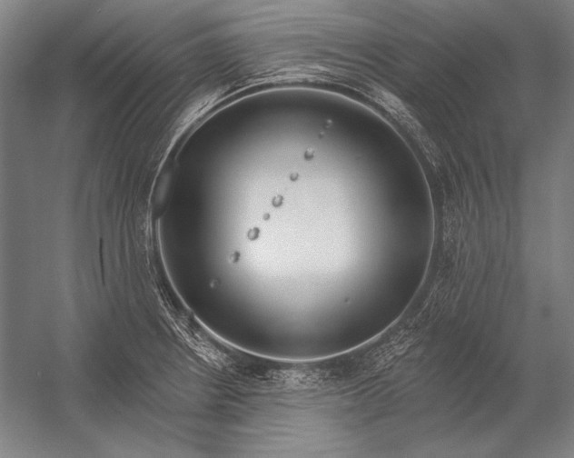 X0000053001234200507221238