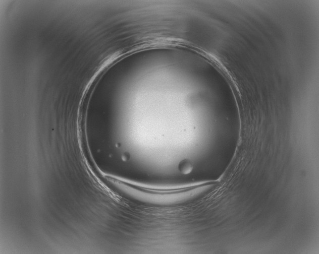 X0000053001235200507221238