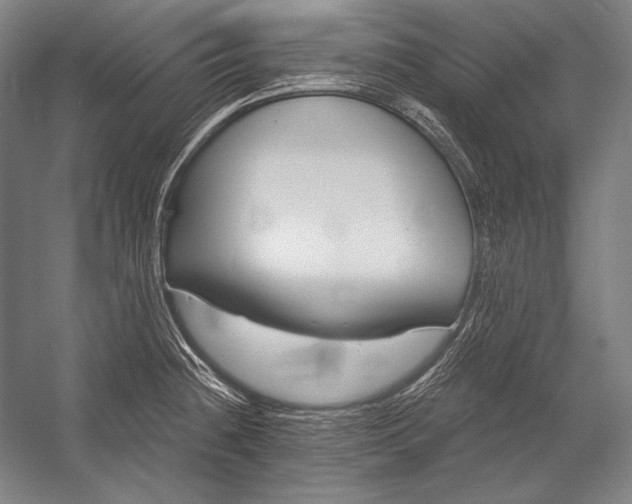 X0000053001236200507221238