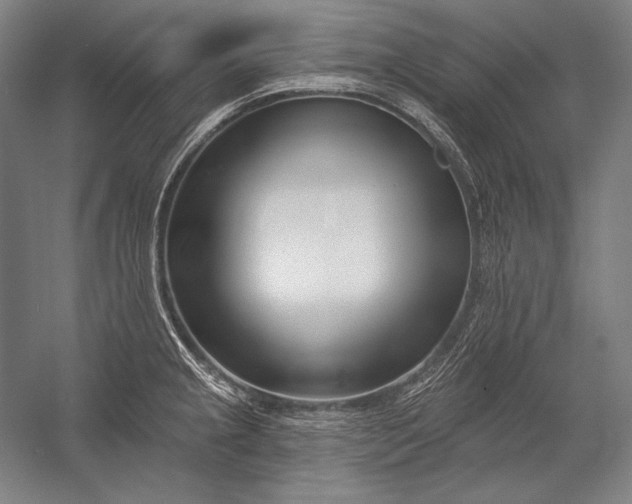 X0000053001237200507221238