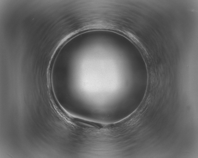 X0000053001238200507221238