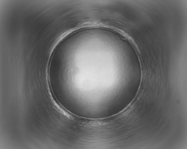 X0000053001239200507221238