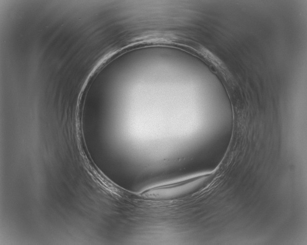 X0000053001240200507221238