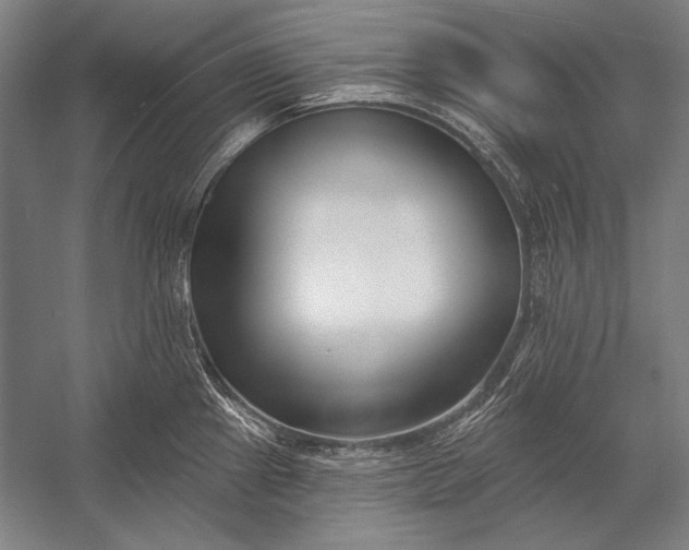 X0000053001241200507221238