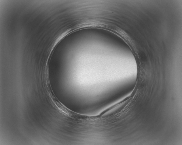 X0000053001242200507221239