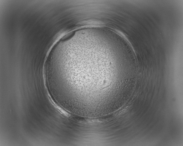 X0000053001243200507221239