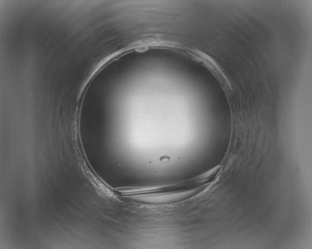 X0000053001244200507221239