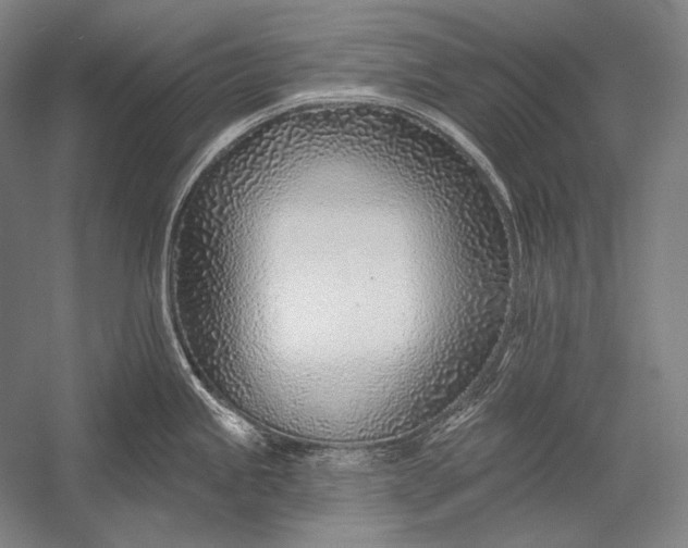 X0000053001245200507221239