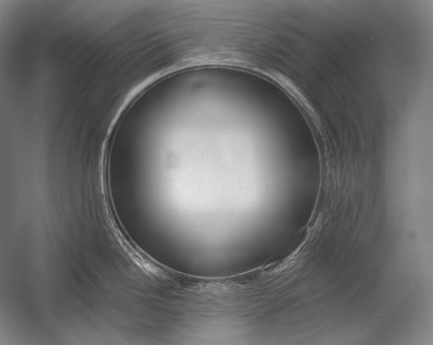 X0000053001246200507221239