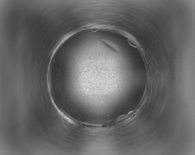 X0000053001247200507221239