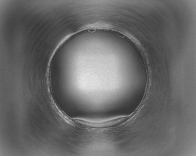 X0000053001248200507221239