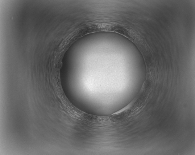 X0000053001249200507221238