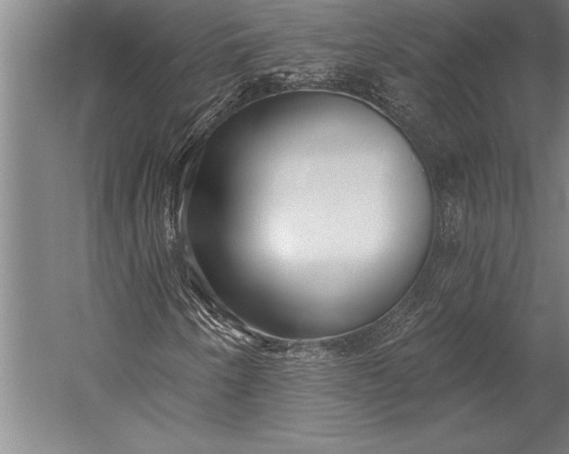 X0000053001250200507221238