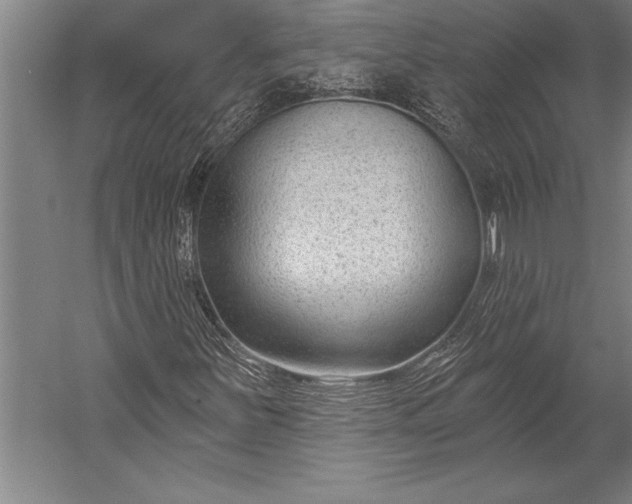 X0000053001251200507221238