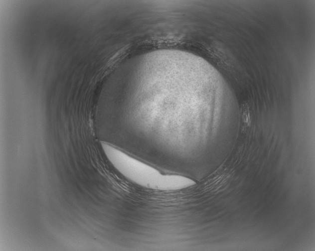 X0000053001252200507221238