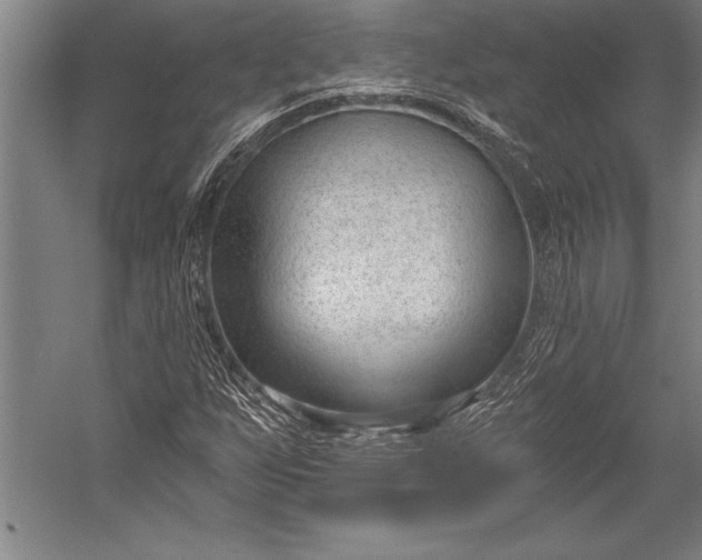 X0000053001255200507221238