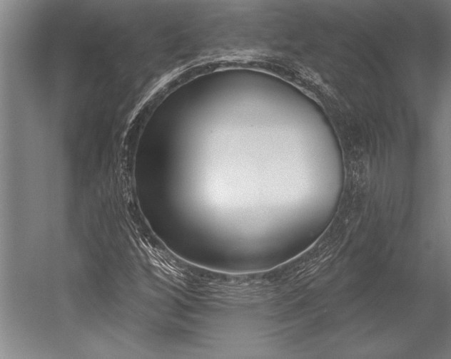 X0000053001256200507221238