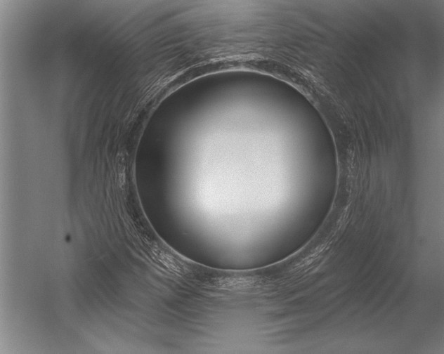 X0000053001257200507221238