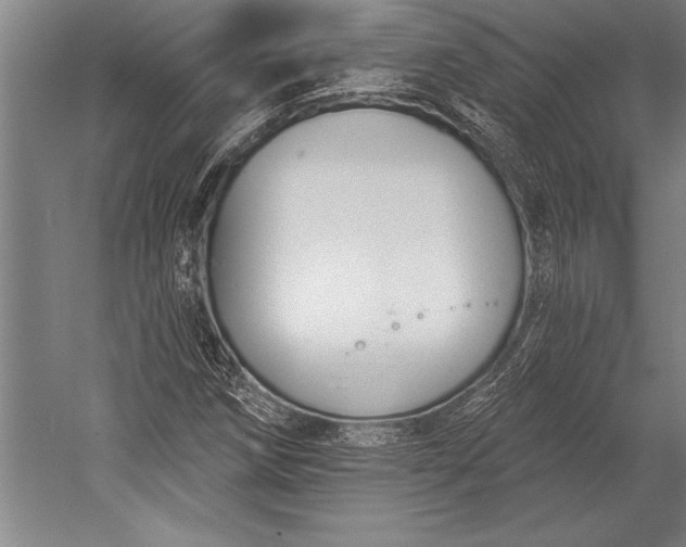 X0000053001258200507221238