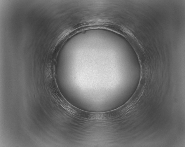 X0000053001259200507221238