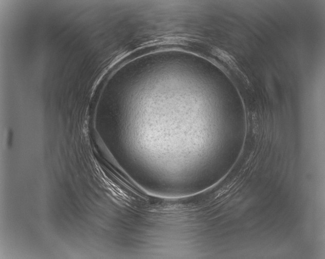 X0000053001260200507221238