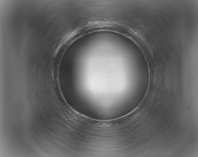 X0000053001261200507221238