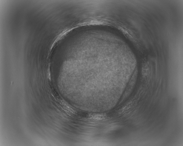 X0000053001262200507221238