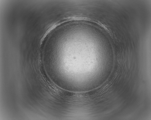 X0000053001263200507221238