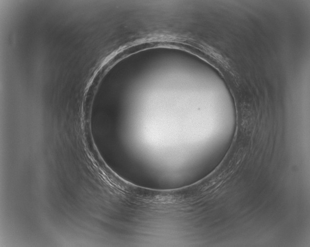 X0000053001264200507221238