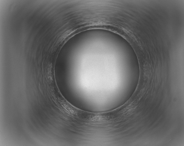 X0000053001265200507221238