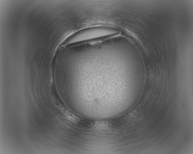 X0000053001267200507221237