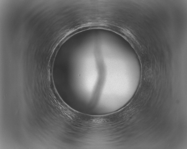 X0000053001268200507221237