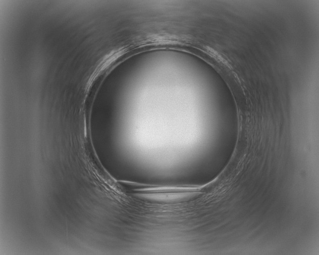 X0000053001269200507221237