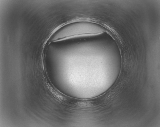 X0000053001272200507221237