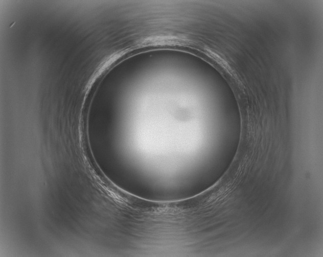 X0000053001277200507221237